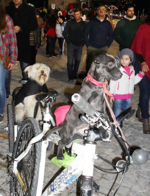 Mila_Ferreira_Penela16