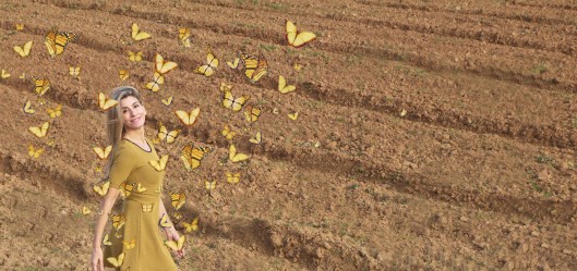 Mila_Ferreira_Borboletas1