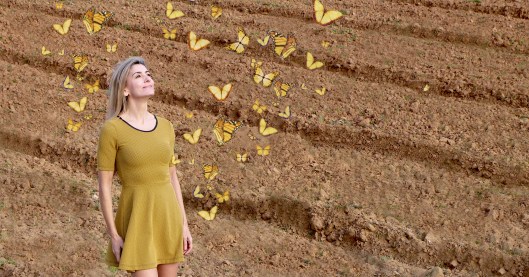 Mila_Ferreira_Borboletas2