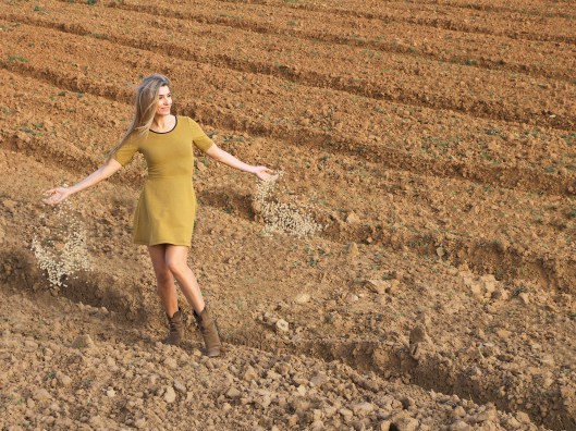 Mila_Ferreira_Borboletas4