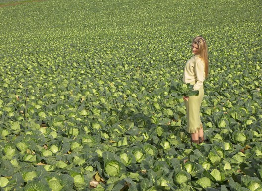 Mila_Ferreira_Couves3