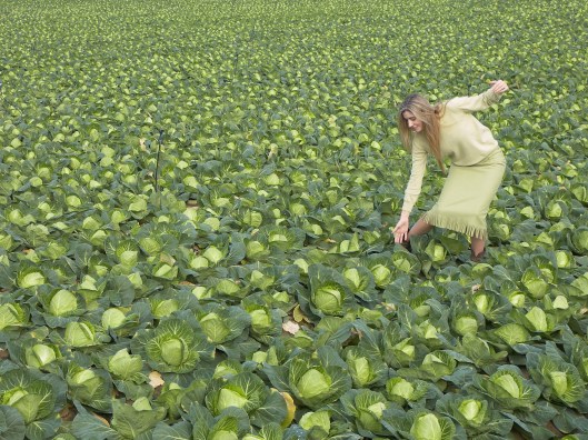 Mila_Ferreira_Couves7