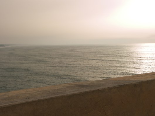 Mila_Ferreira_Forte8