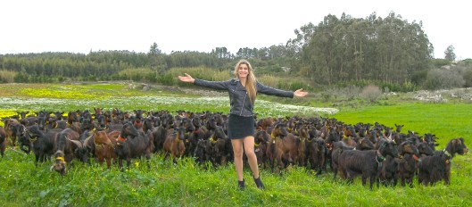 Mila_Ferreira_Rebanho4