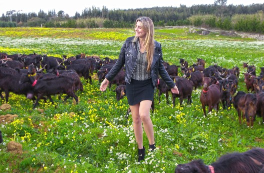 Mila_Ferreira_Rebanho6