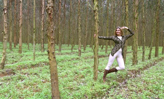 Mila_Ferreira_Eucaliptos3