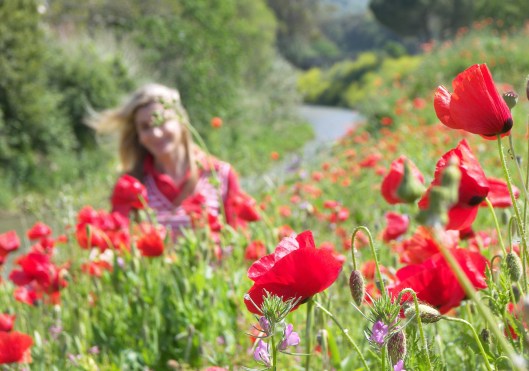 Mila_Ferreira_Papoilas2