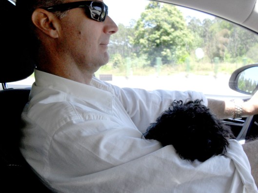 Mila_Ferreira_Bonsoir_Paris1