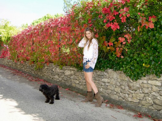 mila_ferreira_outono