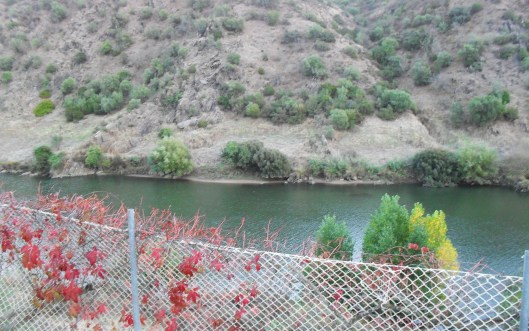 mila_ferreira_mertola2