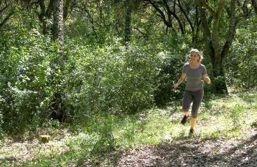 mila_ferreira_cogumelo1