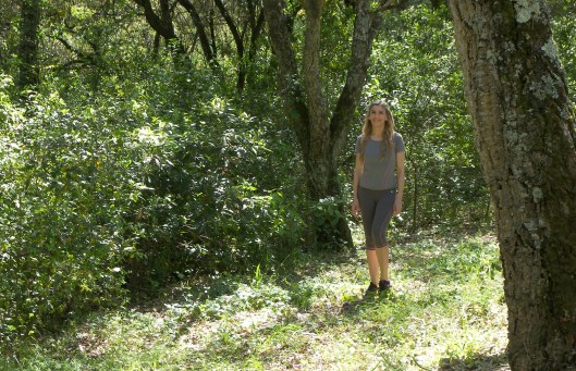 mila_ferreira_cogumelo2