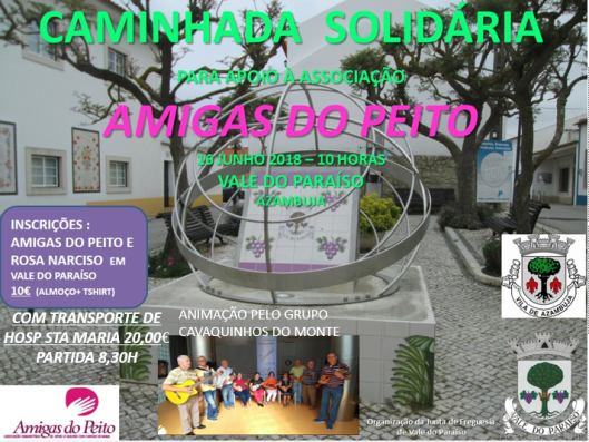 caminhada solidária.png